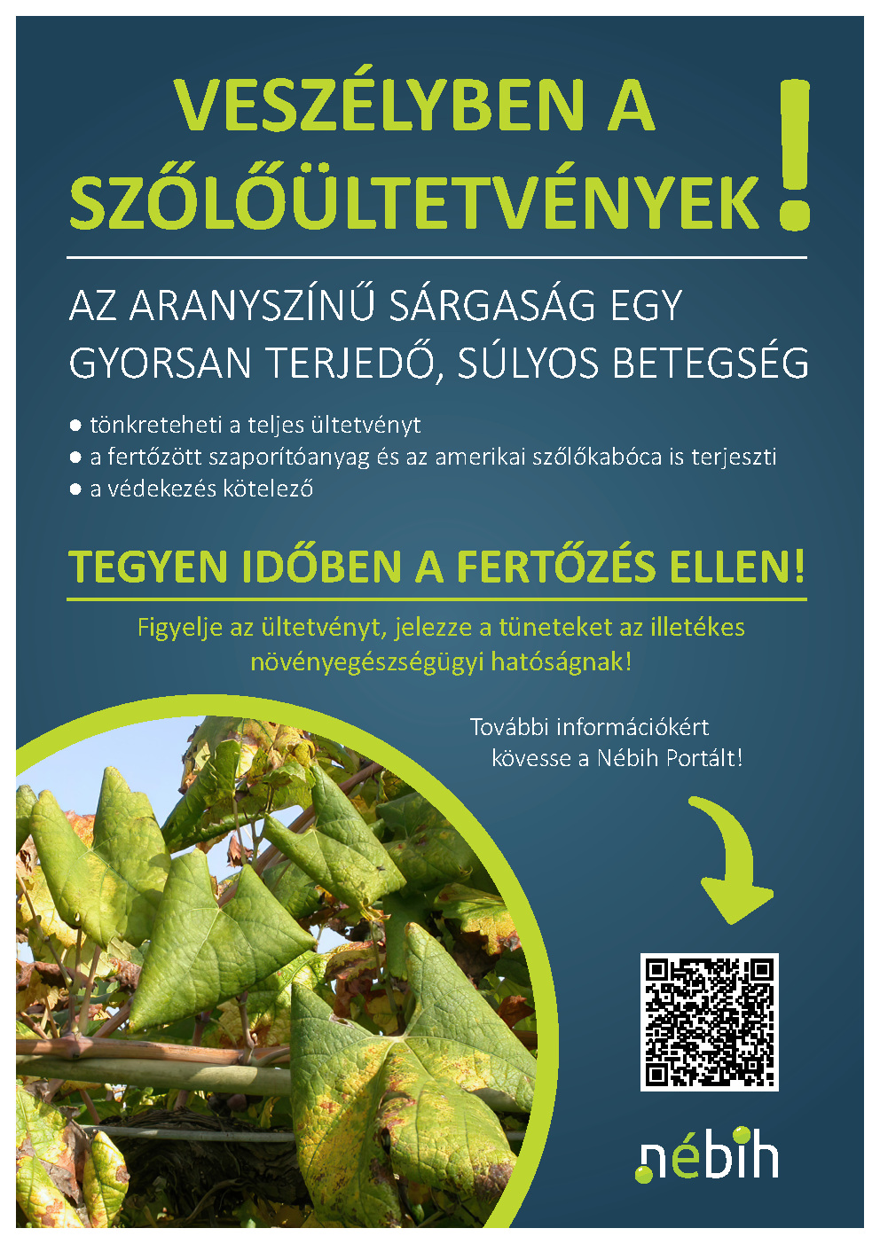 Veszélyben a Szőlőültetvények
